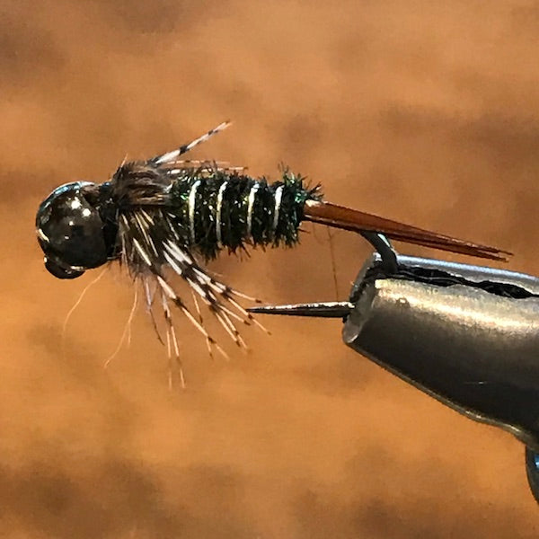 Fly Spotlight - The 20"er