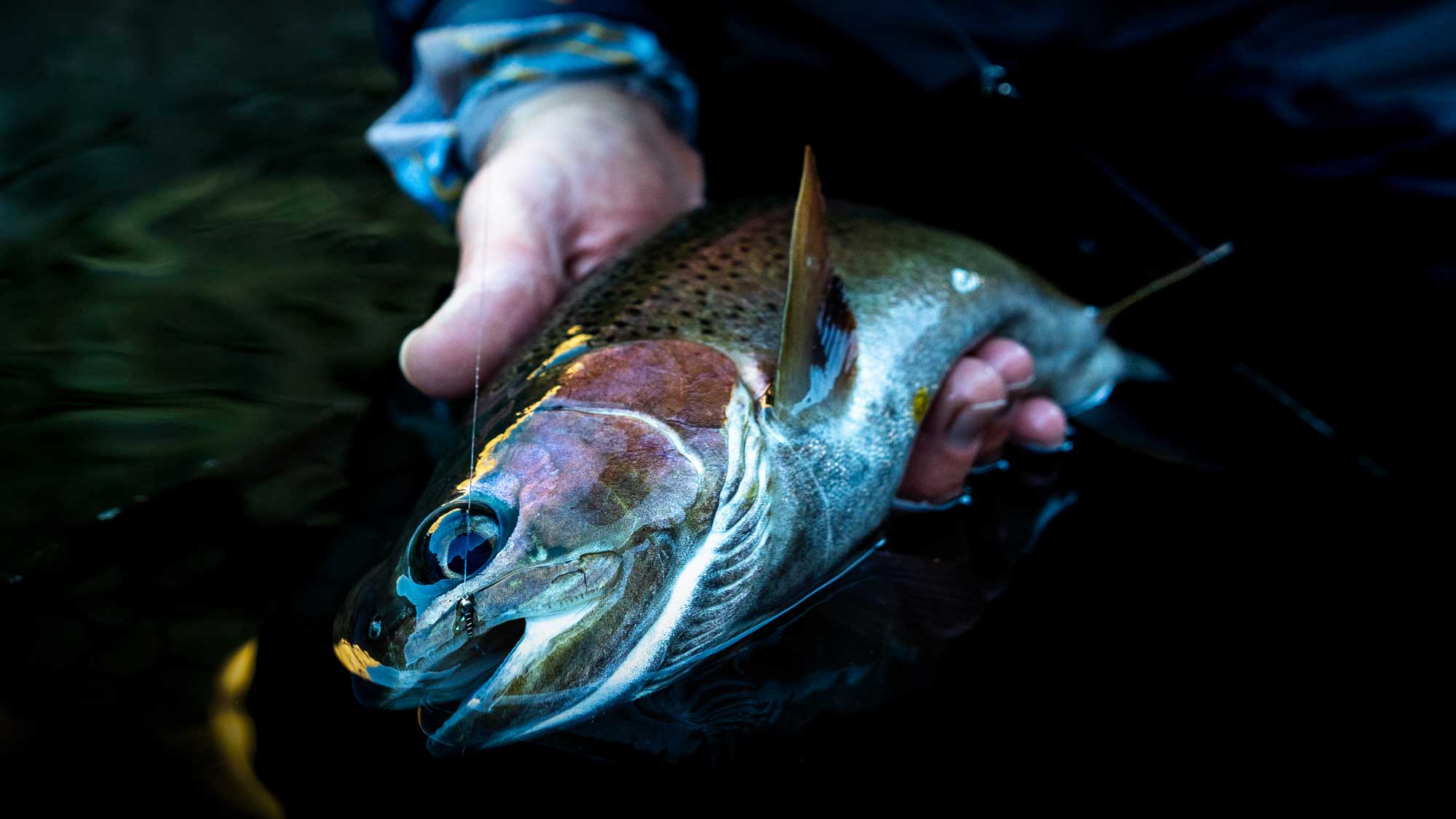 Q4 2024 Quarterly Fly Club