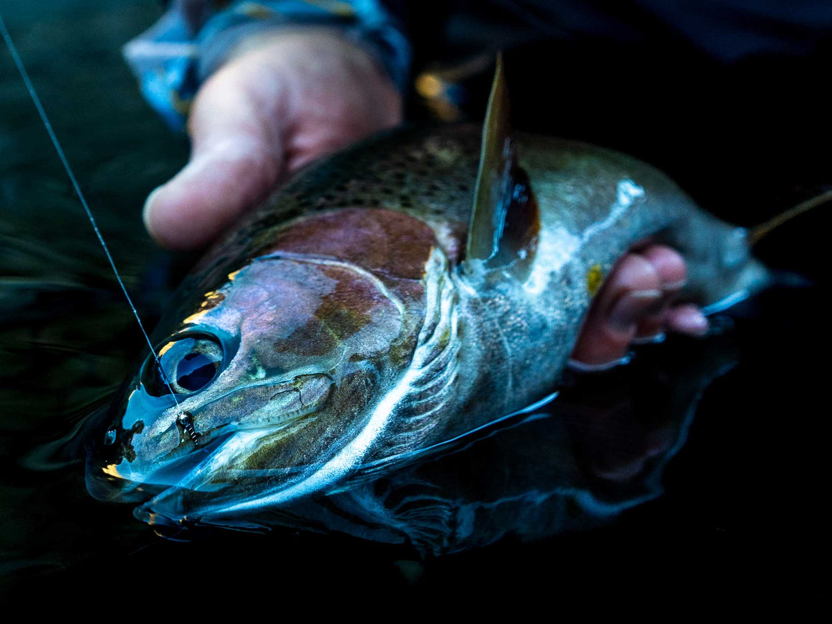 Yakoda Crackleback Midge (3-Pack)