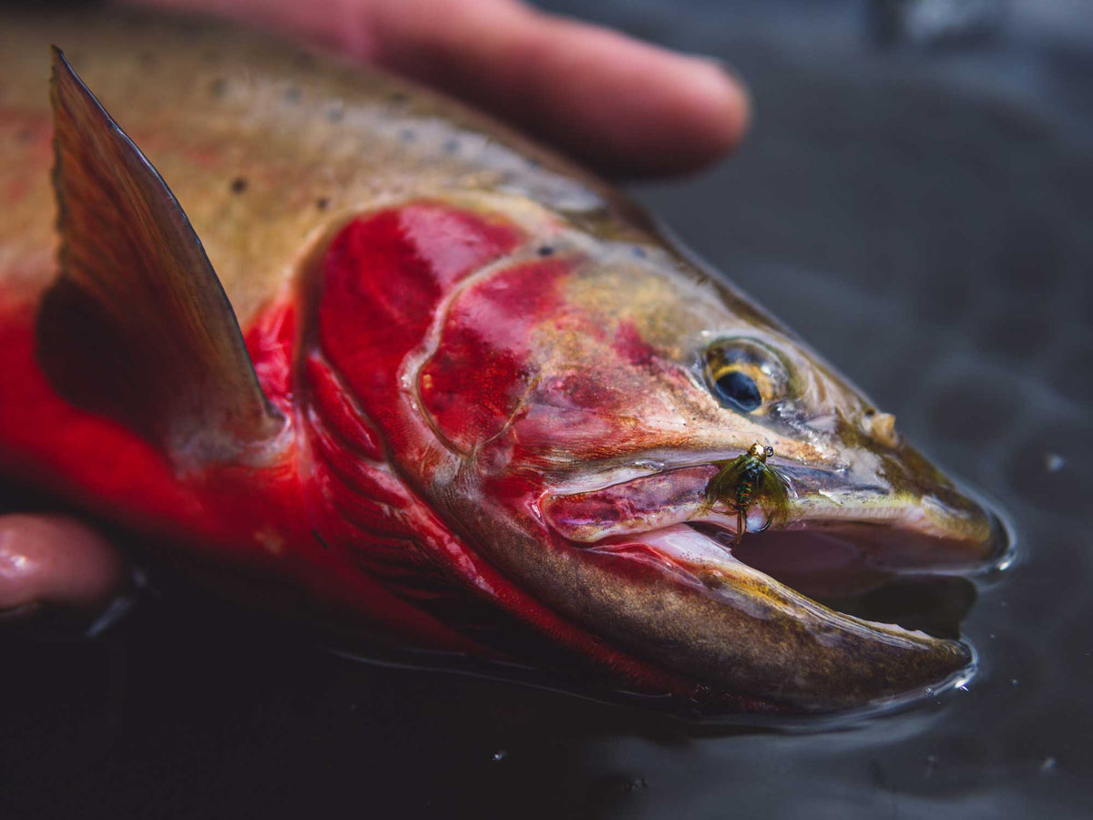 Yakoda Green Machine (3-Pack)