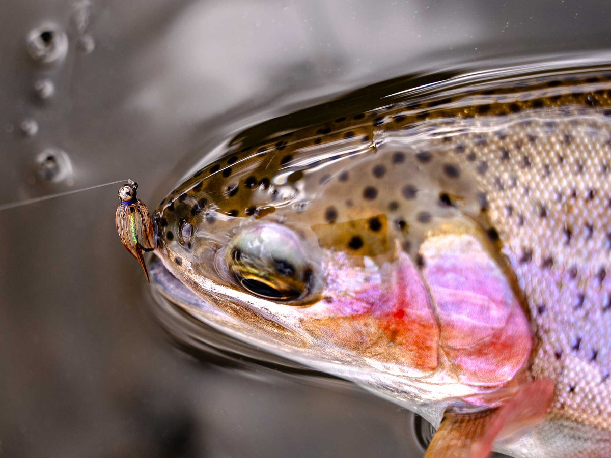 Yakoda Soft Hackle Purple Reign (3-Pack)