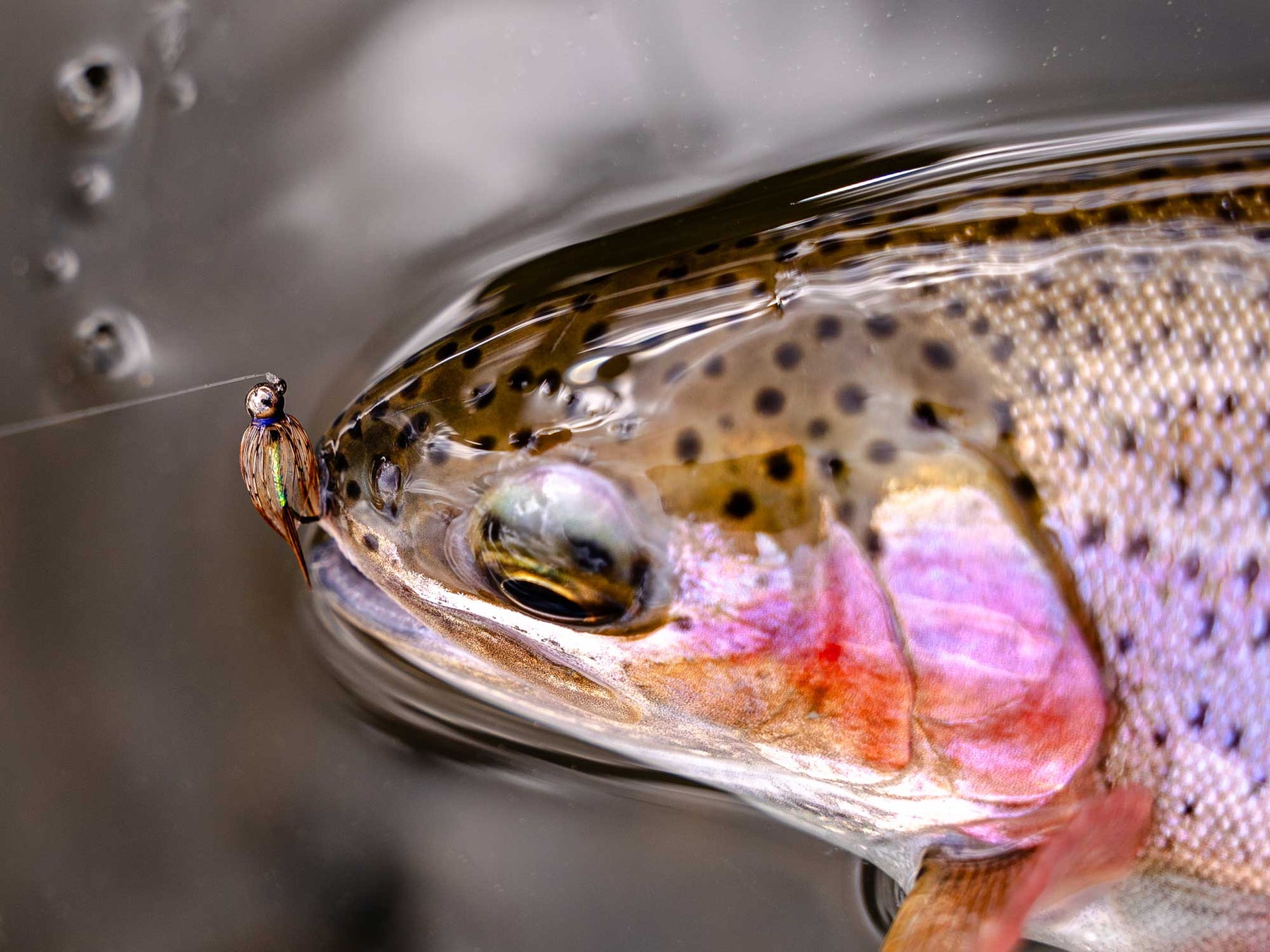 Yakoda Soft Hackle Purple Reign (3-Pack)