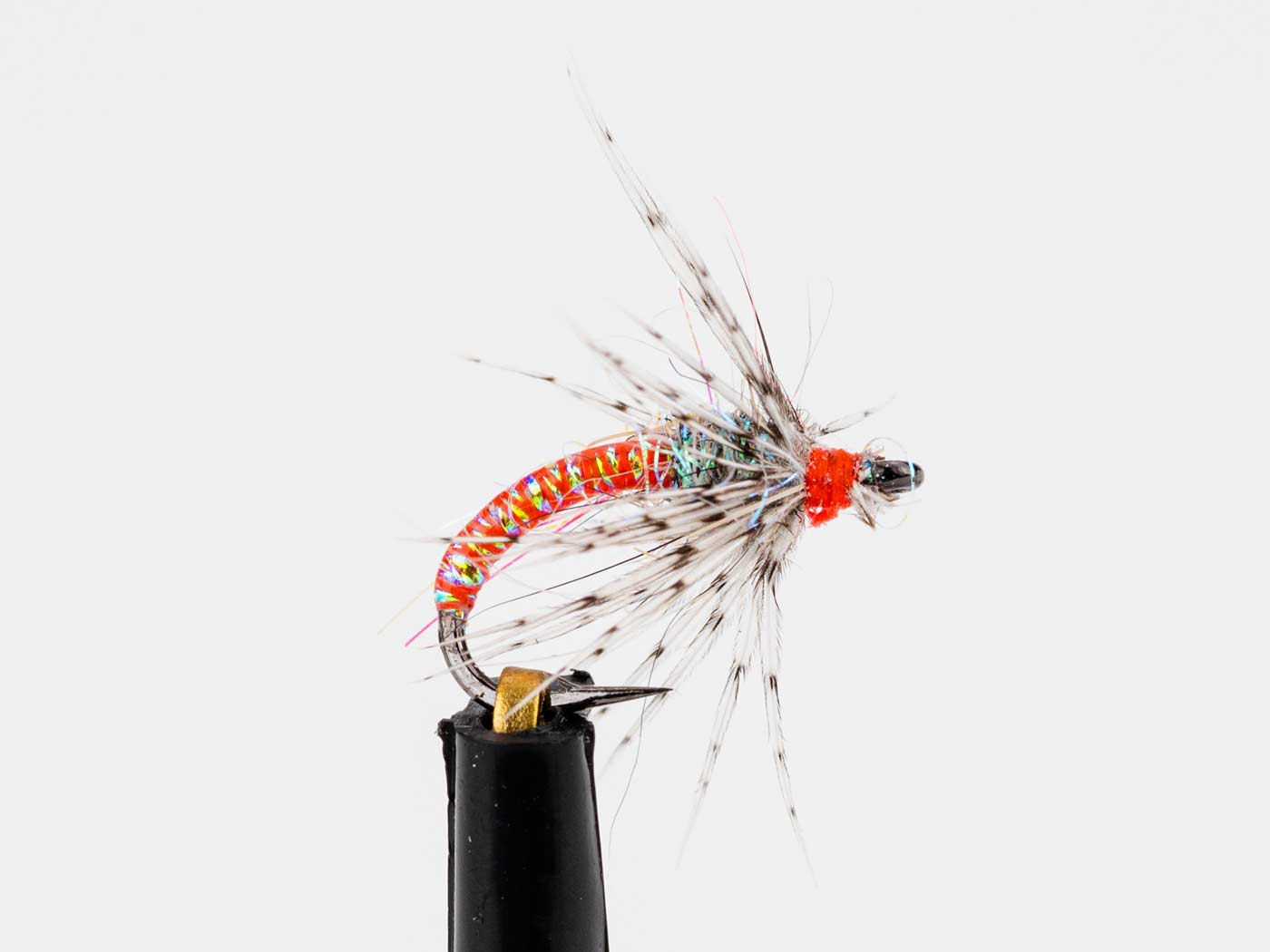 Tailwater Tin