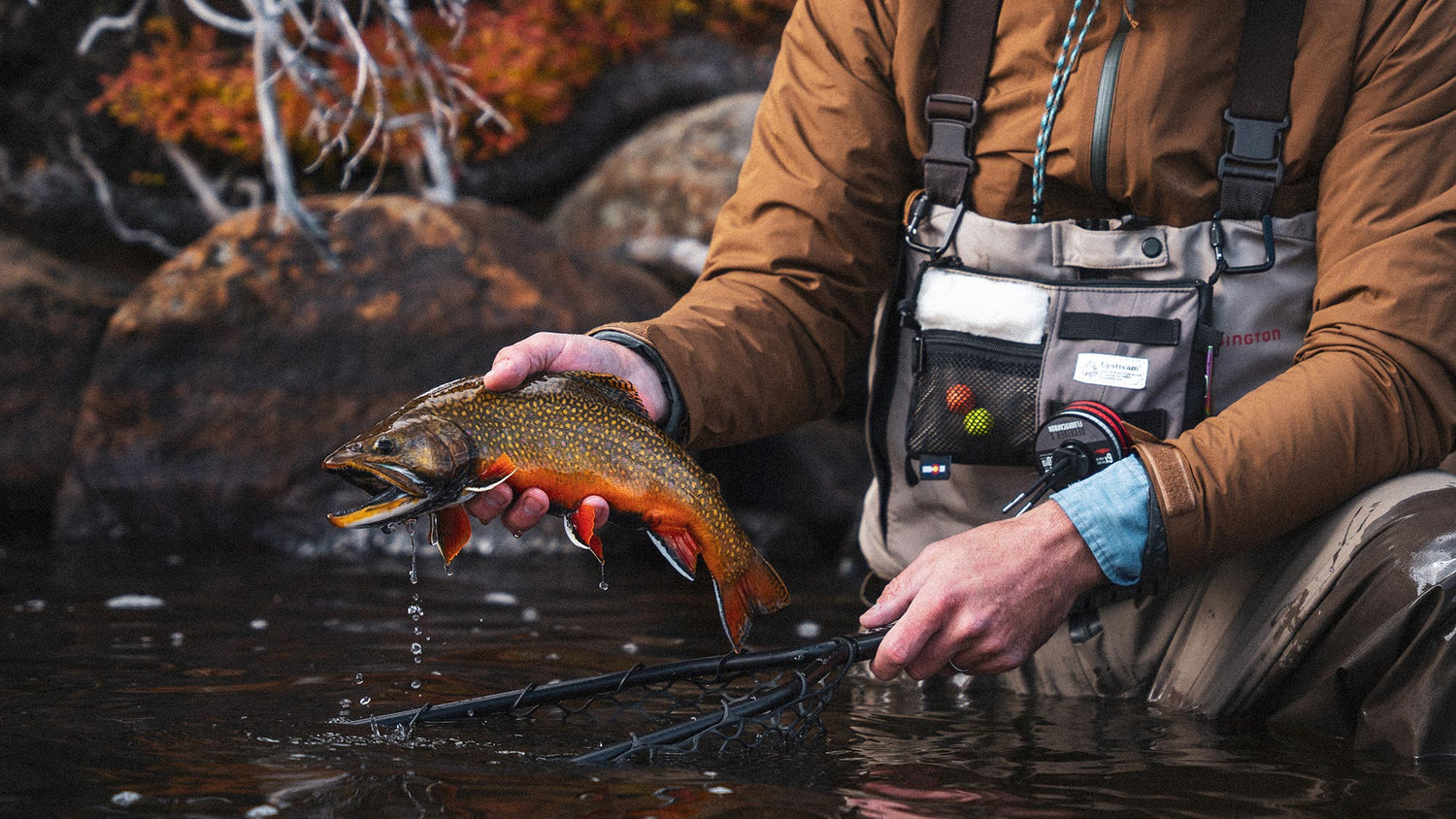 Upstream™ by Yakoda