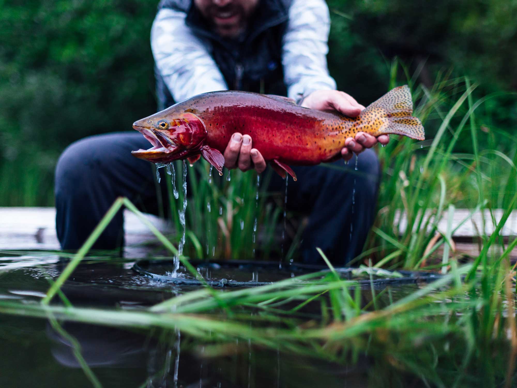 ★☆美品！「STILLWATER FISHING SYSTEMS」USAフローター☆★ The Best Craft for Stillwater Fishing? There Isn't One