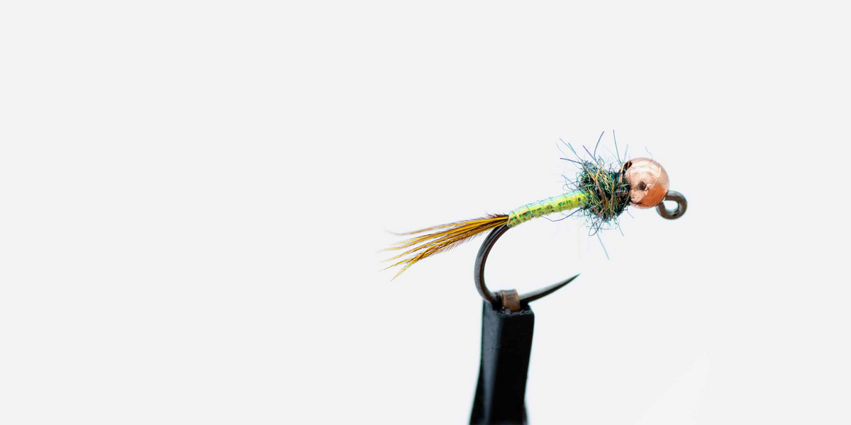 Fly Club—Monthly 6-Pack Membership