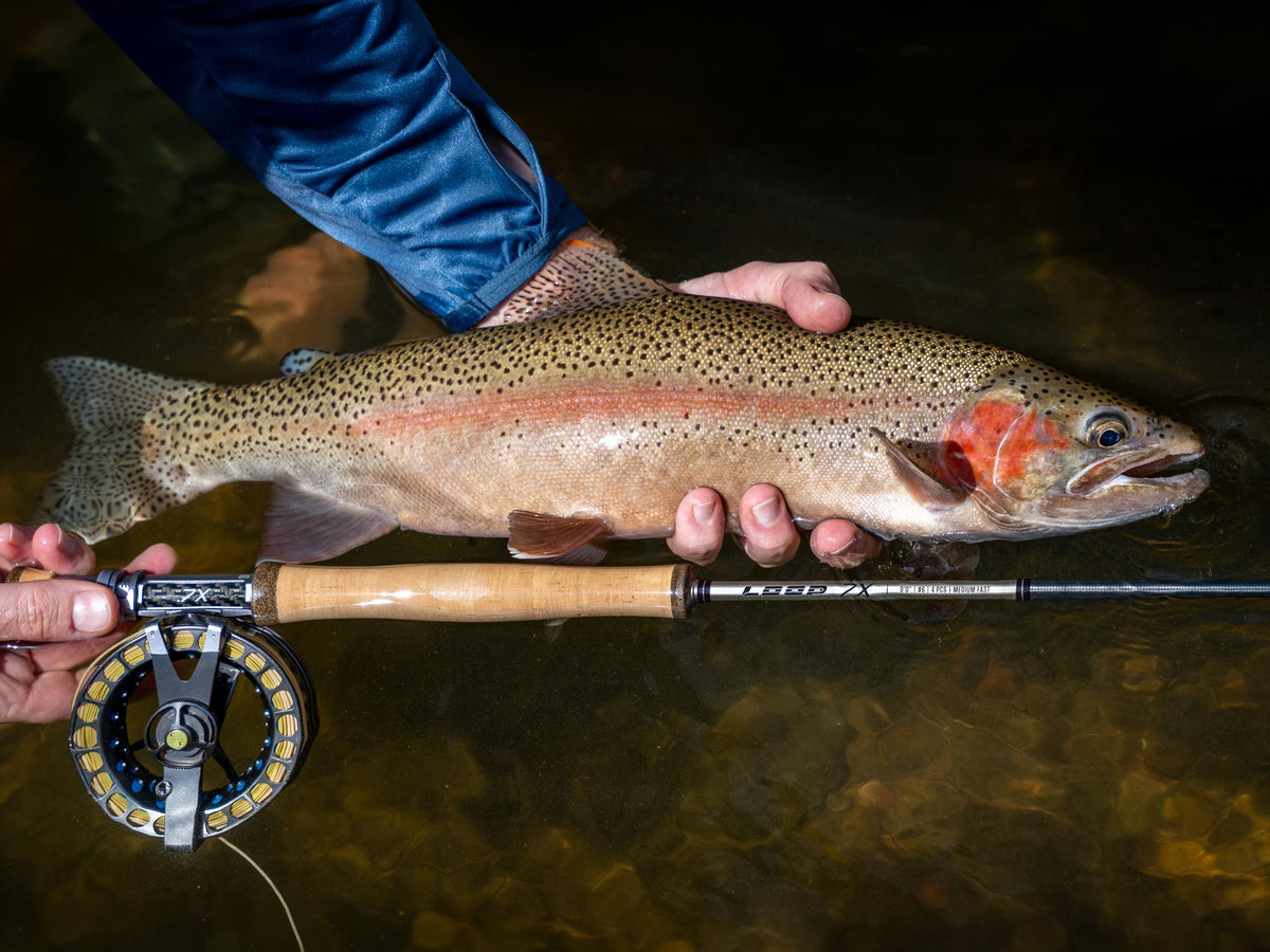 Loop 7X Fly Rod