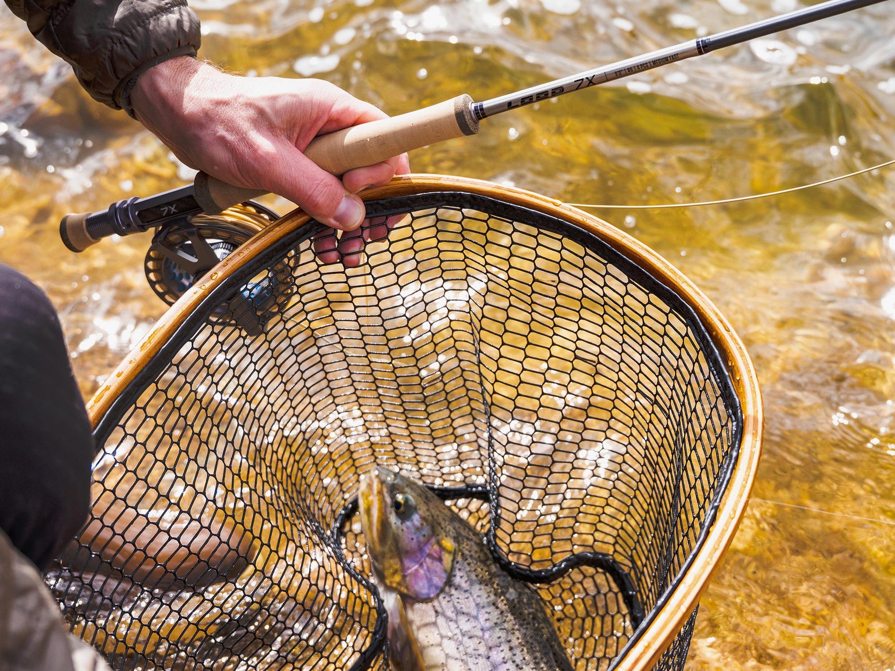 Loop 7X Fly Rod Loop 7X Fly Rod