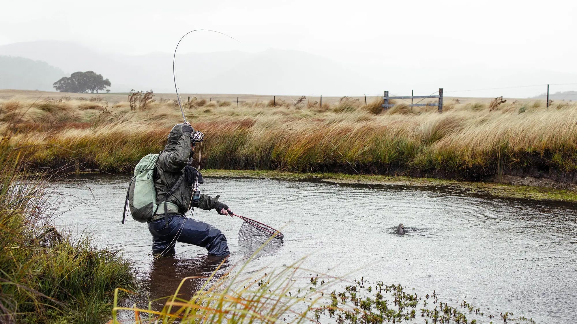 Loop Z Series Fly Rod