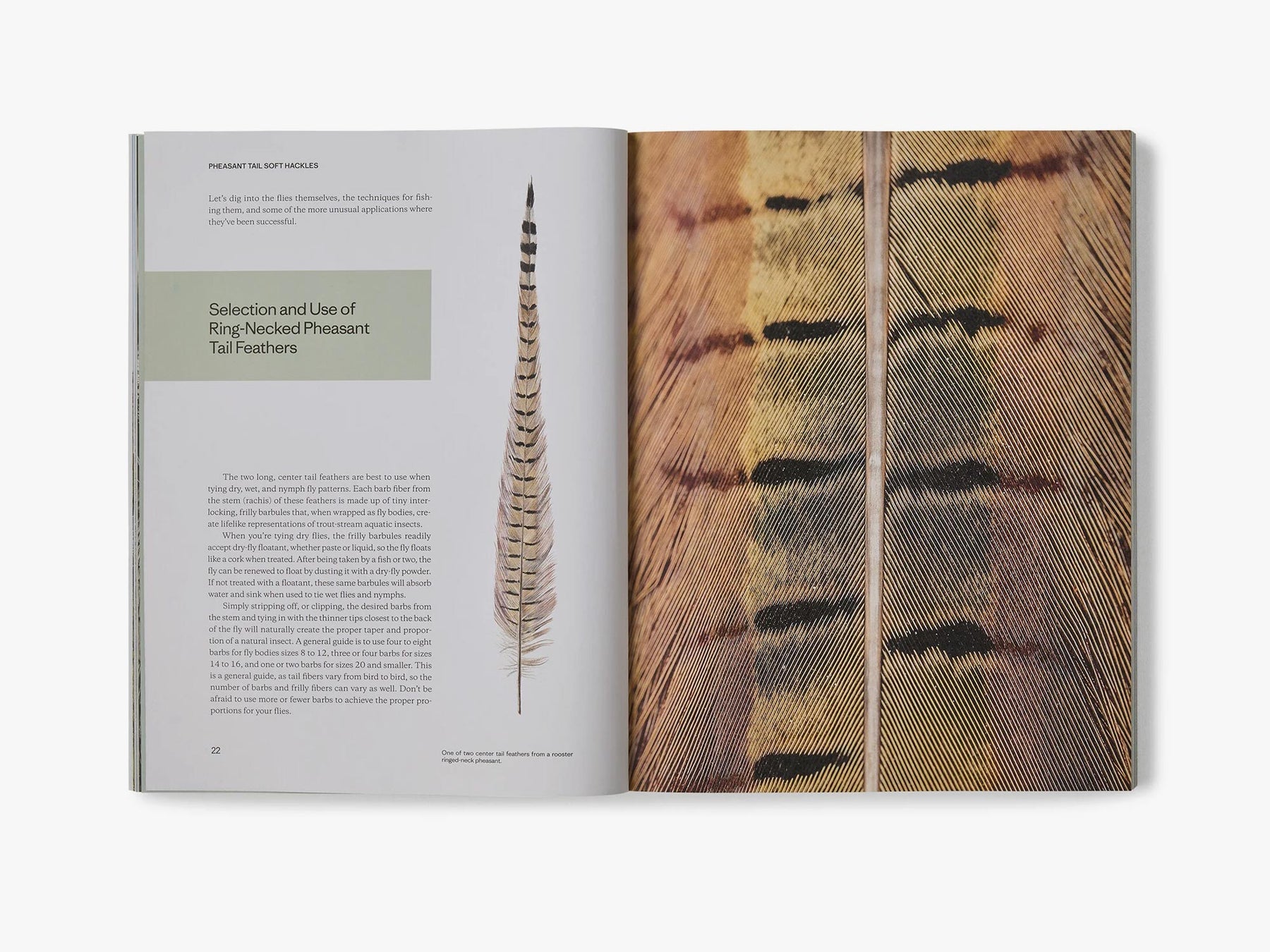 Pheasant Tail Simplicity