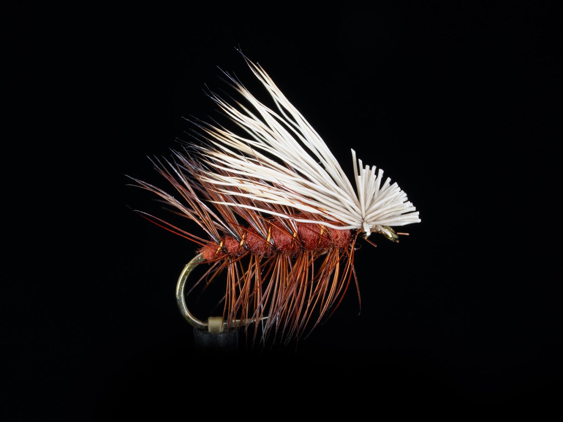 Elk Hair Caddis (3-Pack)