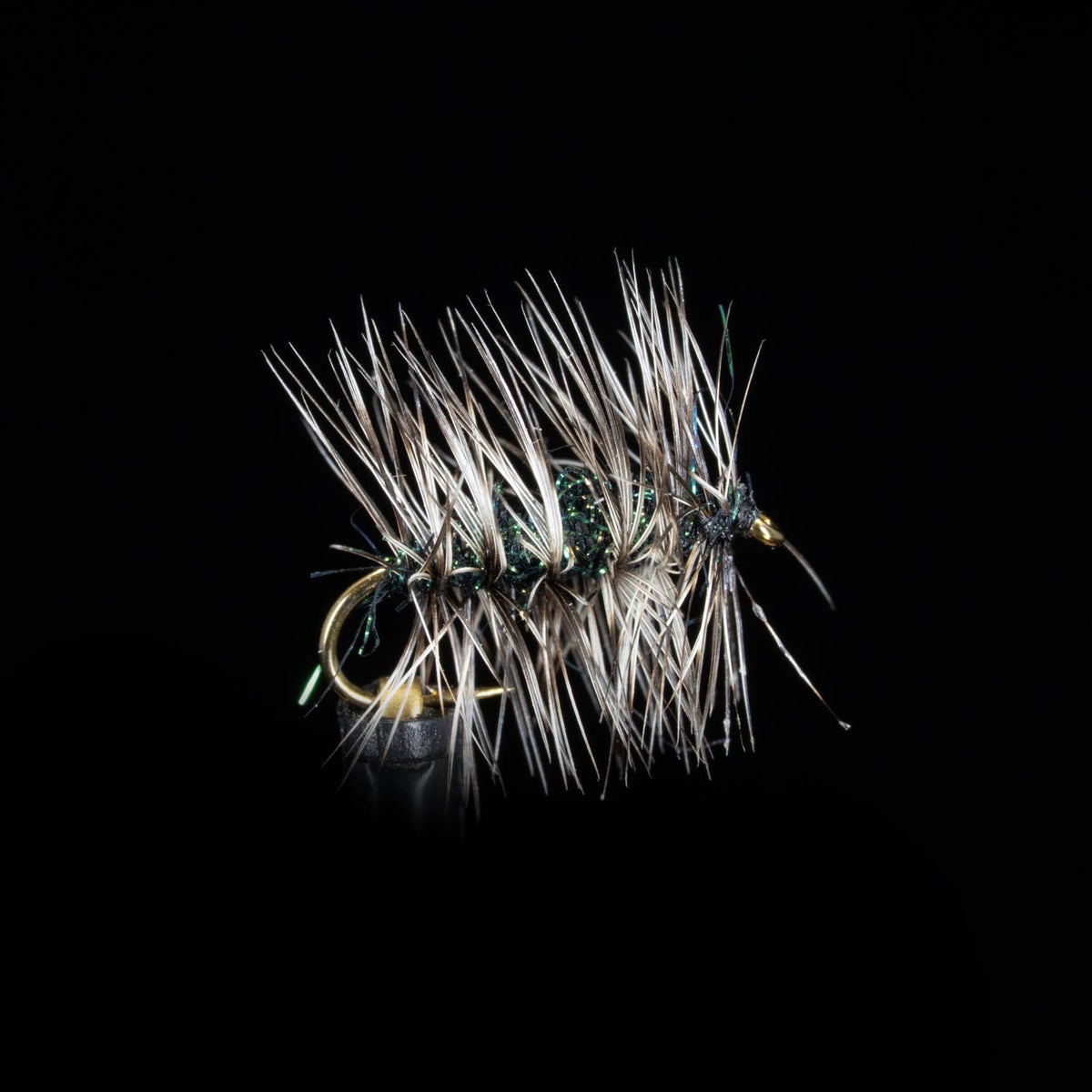 Griffith's Gnat