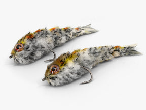 Little Swimmer (2-Pack)