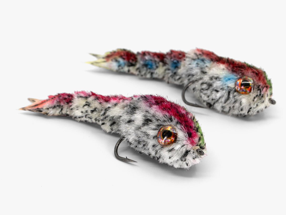 Little Swimmer (2-Pack)