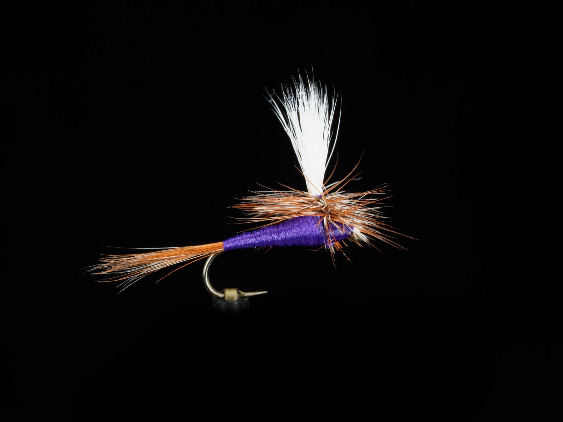 Parachute Purple Haze (3-Pack)