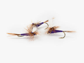 Parachute Purple Haze (3-Pack)