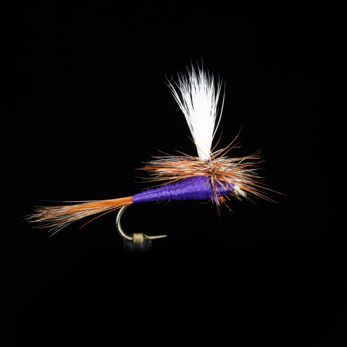 Parachute Purple Haze