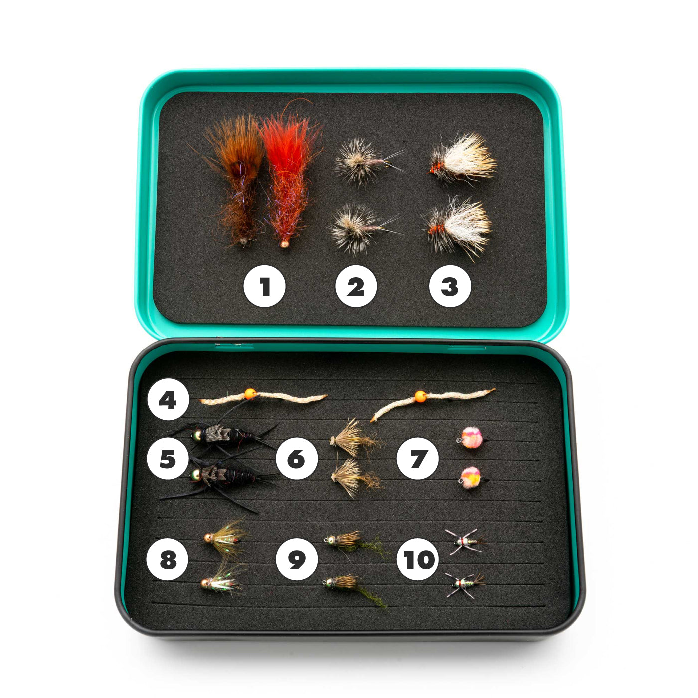 Fly Fishing Fly Classification Wet Fly Fishing Container Box - China Clear  Tackle Box and Tackle Boxes for Sale price