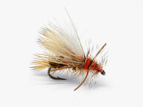Fly Club—Quarterly Membership