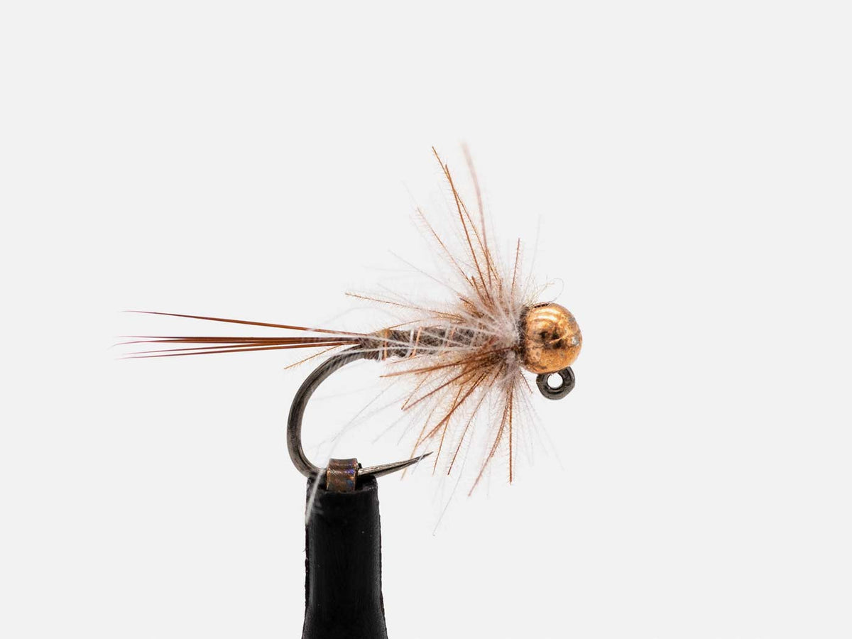 Pheasant Tail T-Shirt